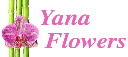 Yana Flowers - Cookstown Florist Logo